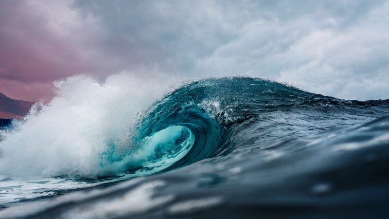 Cuáles son los principios de la estrategia del océano azul